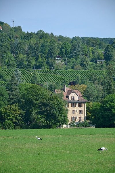 Autor Fabian Schmieder