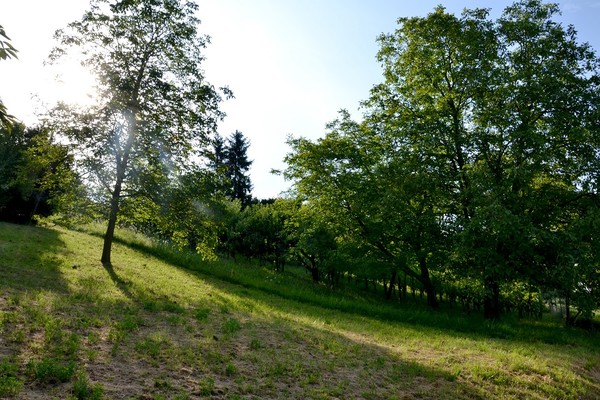 Autor Fabian Schmieder