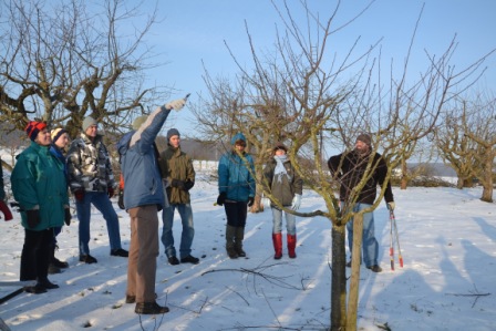 Obstbaumschnittkurs Praxis 2014