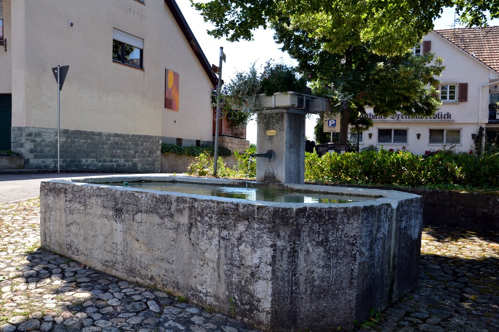 Autor Fabian Schmieder